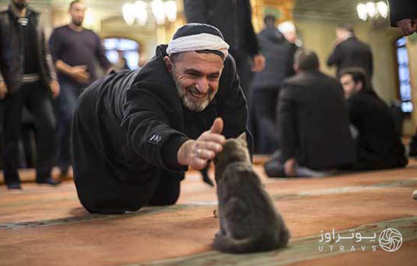 مسجد گربه‌ها در استانبول 